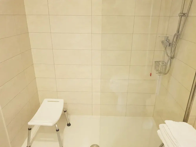 1 Bedroom Deluxe Quadruple room with lake view