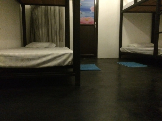 Nature Rex - Hostel