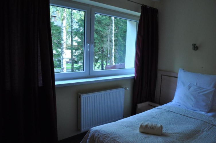Standard Double room with garden view