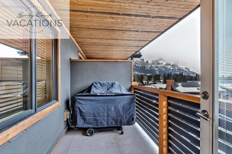 1 Bedroom Standard Penthouse room