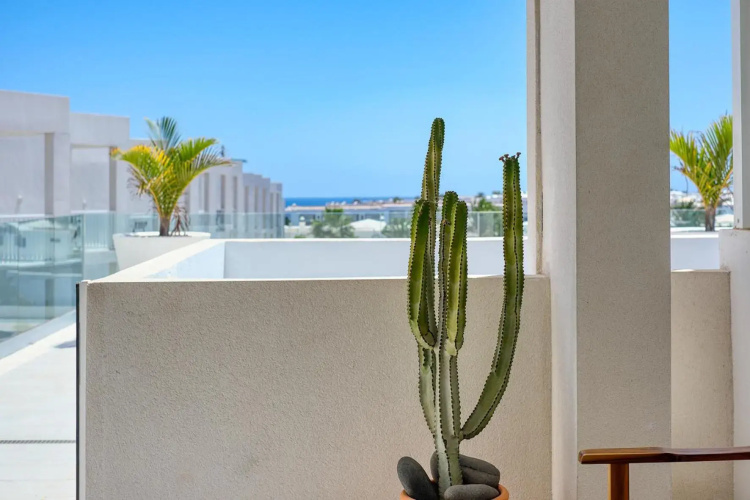 The Ocean View Senator modern apartment