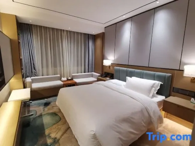Executive Single room