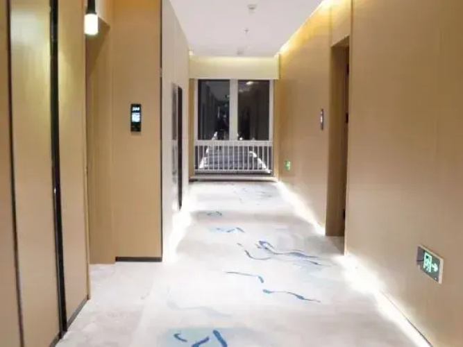 Xiong'an Aquarium Light Luxury Hotel
