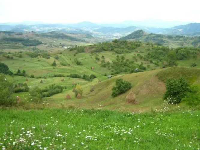 Pensiunea Denisa