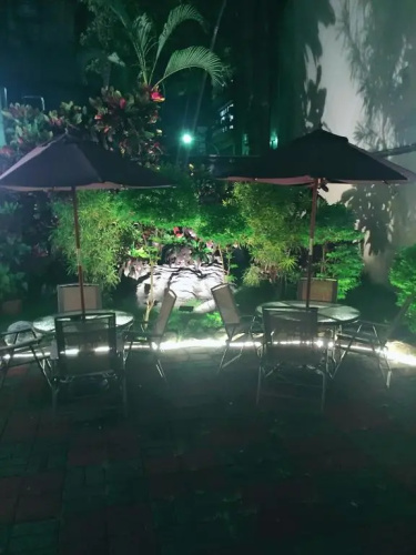 Jungle City Motel