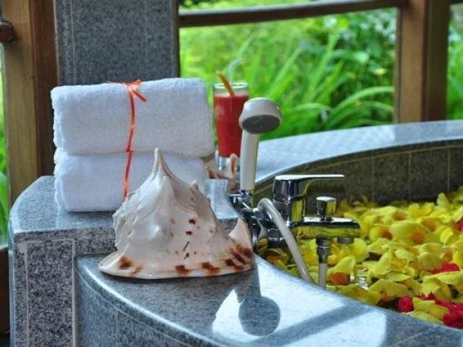 Ubud Hideaway