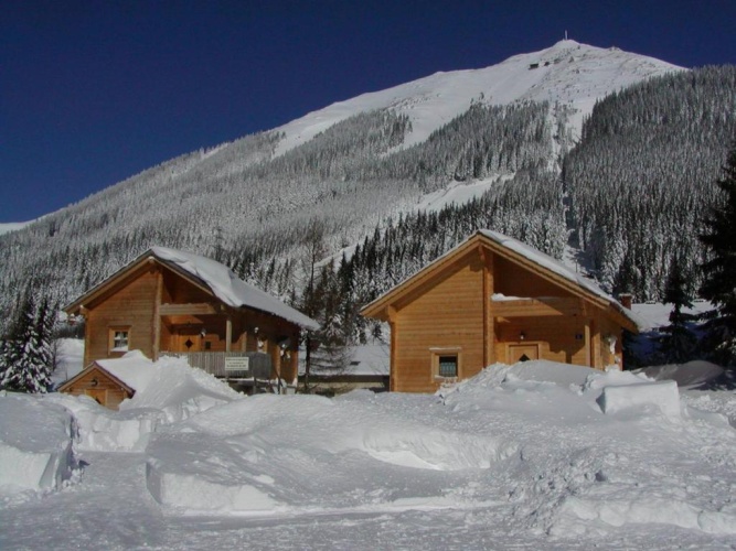 Chalet with view