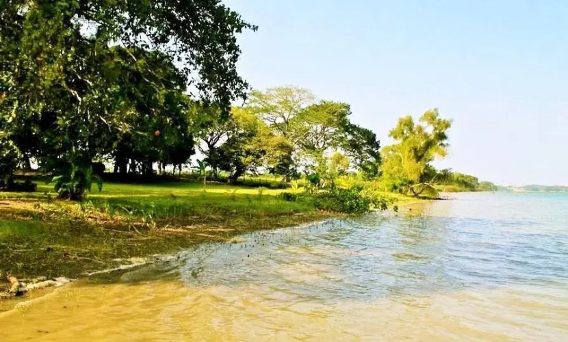 Torre Tuxpan