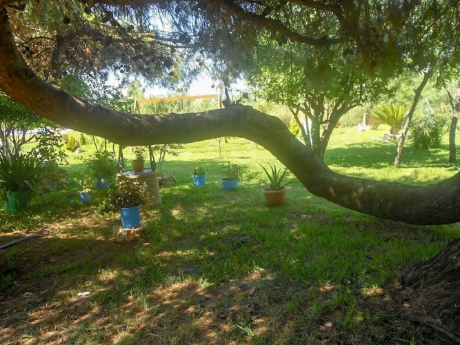 Villa Swan