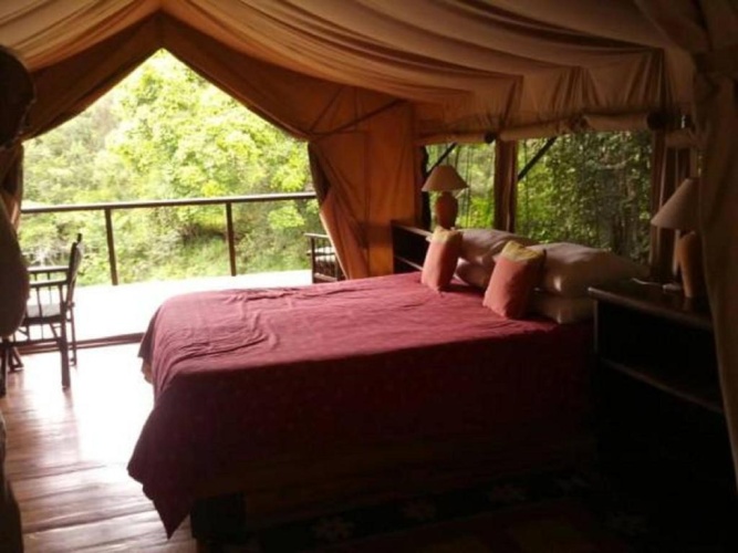 Tent