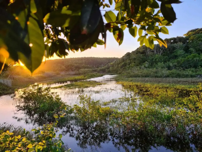 Manoá Eco Villa