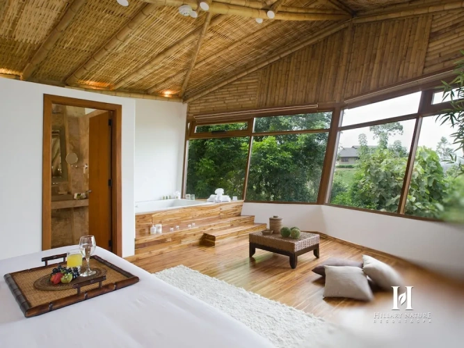 Standard Double room with view