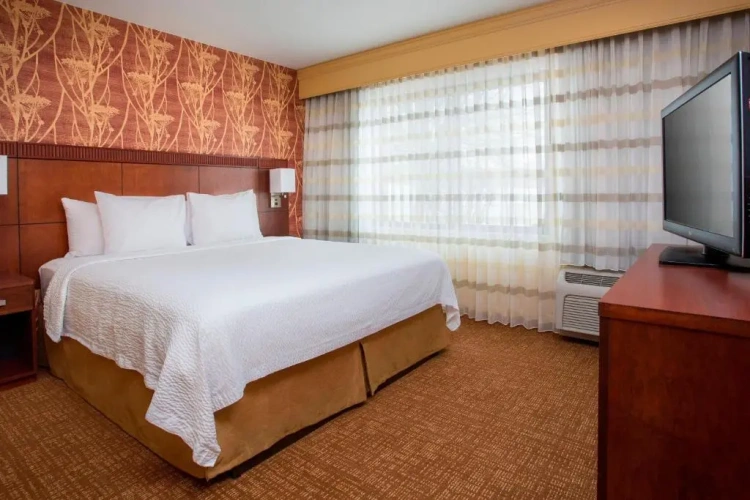 1 Bedroom Double Suite with courtyard view