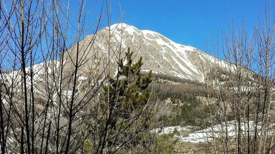 Chalet Avenue des Mélèzes