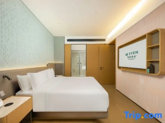 1 Bedroom Single Suite