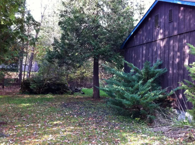 Allan Mills Cottage