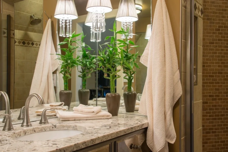 Deluxe Double Suite