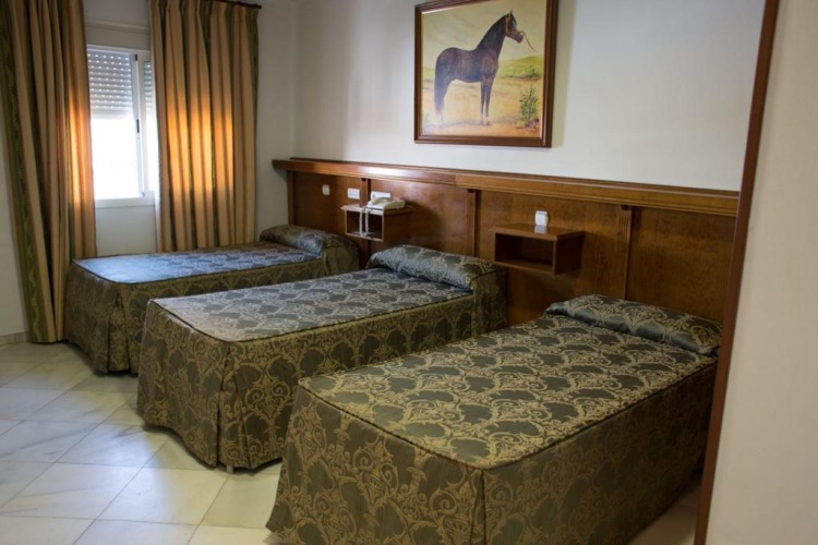 Standard Triple room