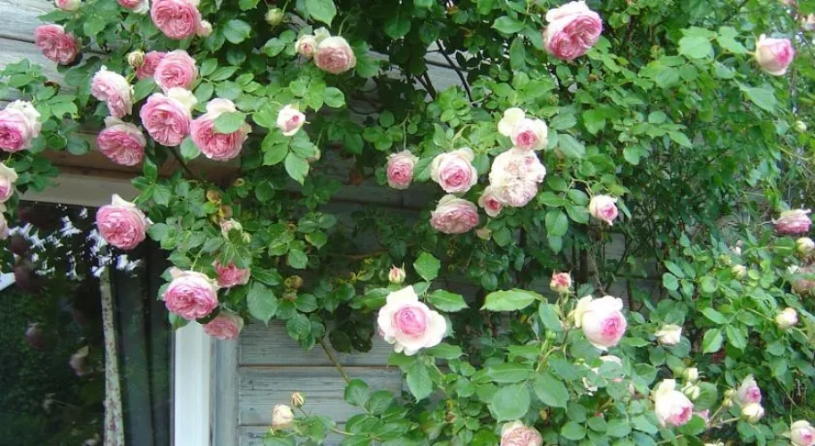 Outside