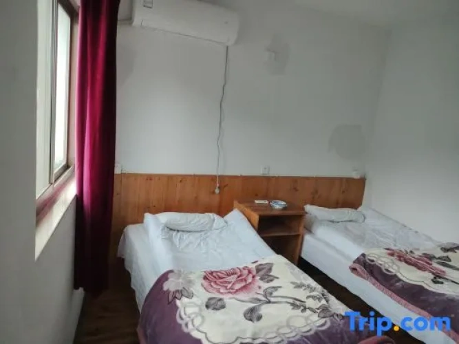 Standard room with view