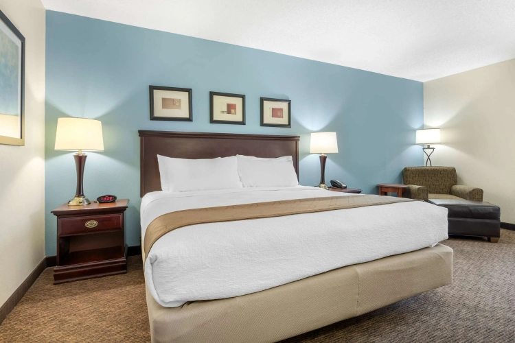 Standard Double room