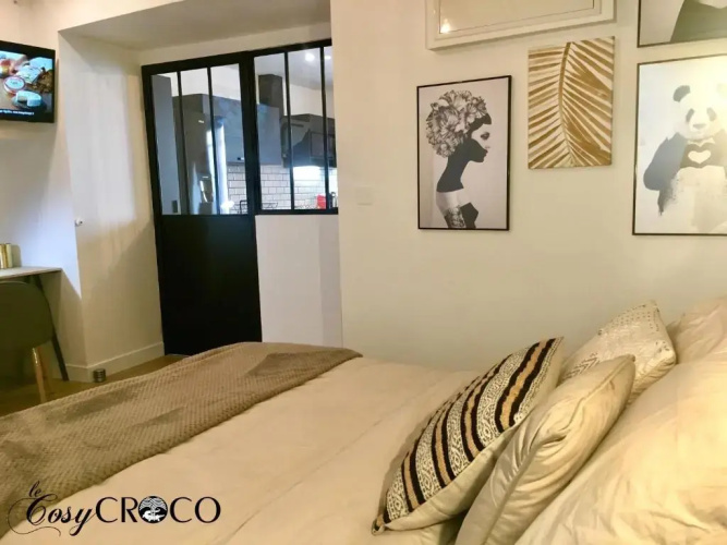 Cosy CROCO - Appart T2 Centre Nîmes - Wifi et Parking
