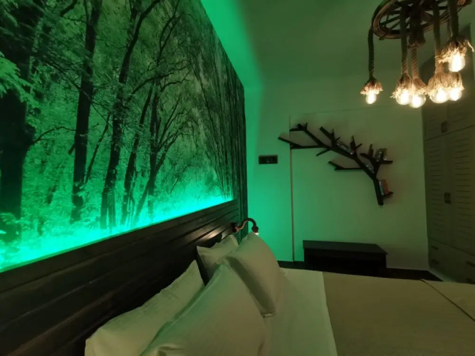 xDream Suite II