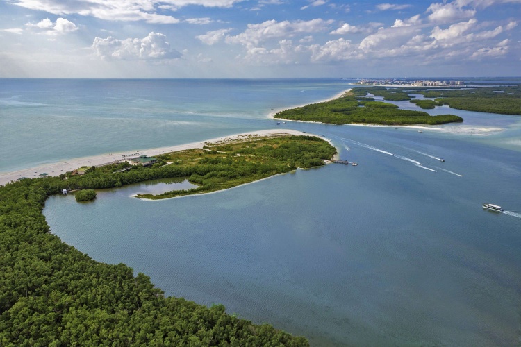 Hyatt Regency Coconut Point Resort & Spa photo 30