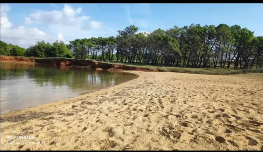 Apartman Tin