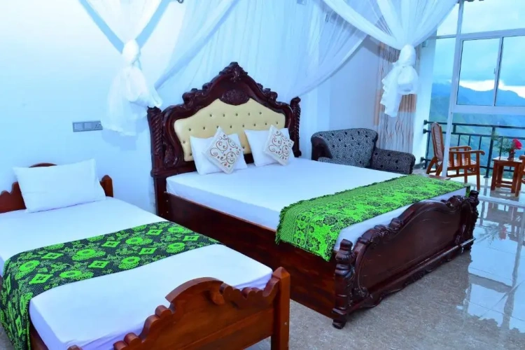 Standard Double room with balcony and with view