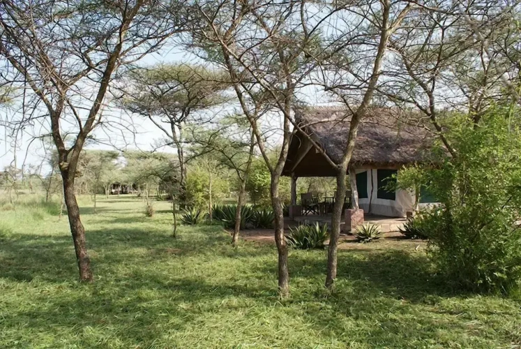 Tent with garden view