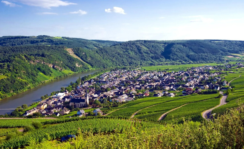 Ferienweingut Rainer Beitzel