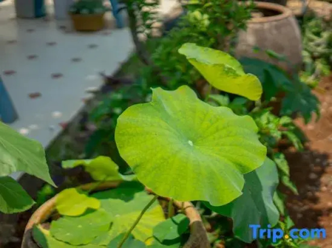 Weizhoudao Yishiguang Homestay
