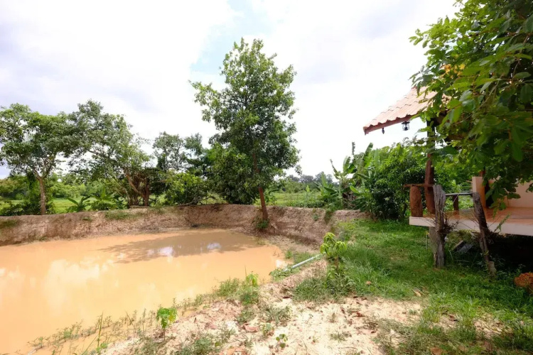 Punapat Resort