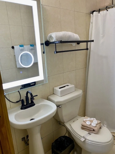 Standard Double room with balcony and with ocean view