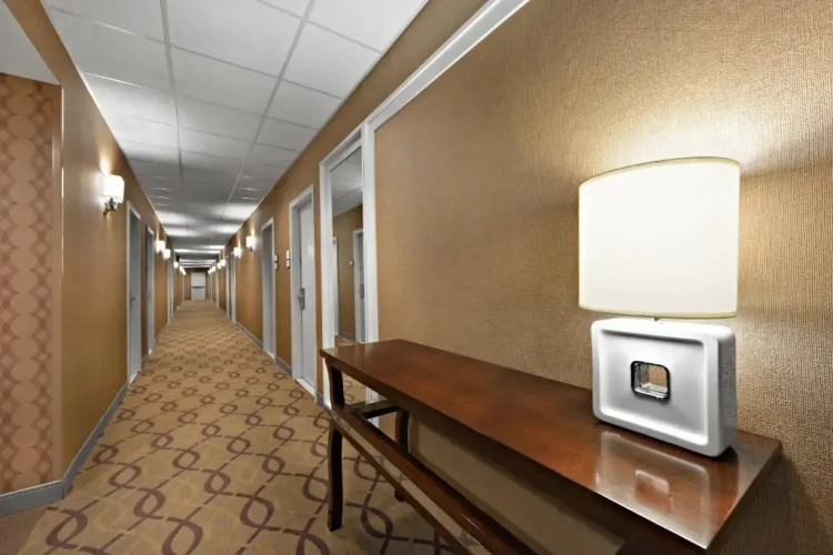 1 Bedroom Double Suite with garden view