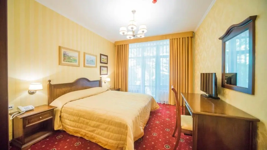 Standard Double room with balcony and with view