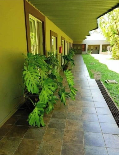 Economy Double room with mountain view