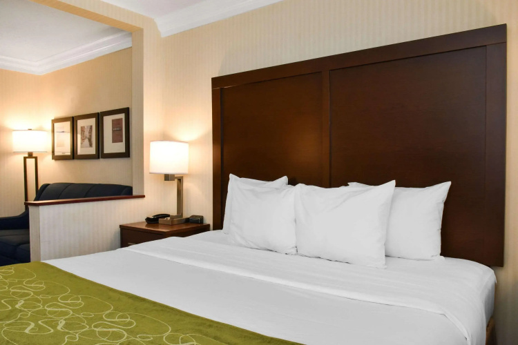 Comfort Suites Downtown Carlisle