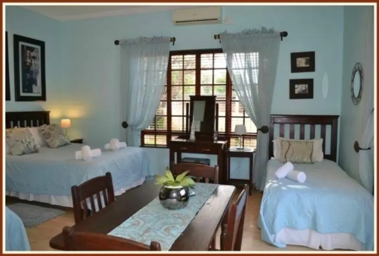 Standard Double room with pool view