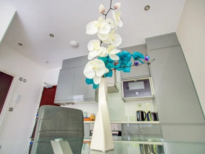 1 Bedroom Classic Apartment