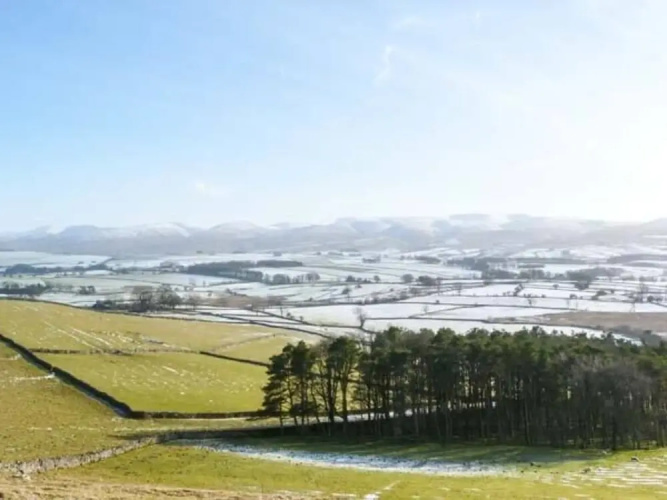 Roans Farm