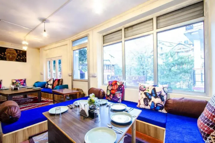 Mountain Dew Guest House