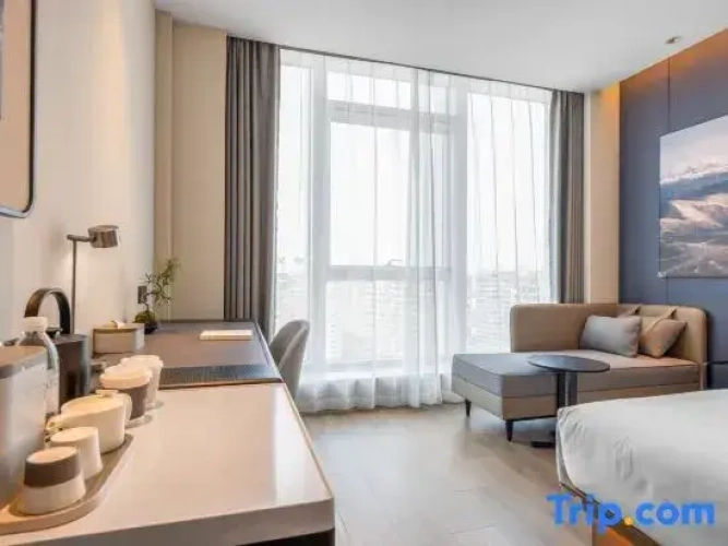 Executive Twin Family room