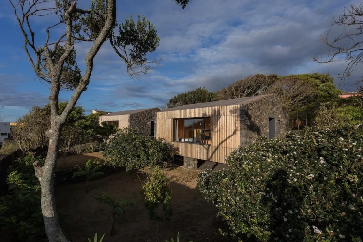 Deluxe Studio with garden view