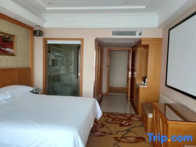 Deluxe Double room with city view