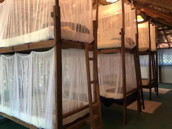 Bed in Dorm