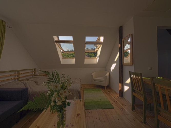 1 Bedroom Apartment