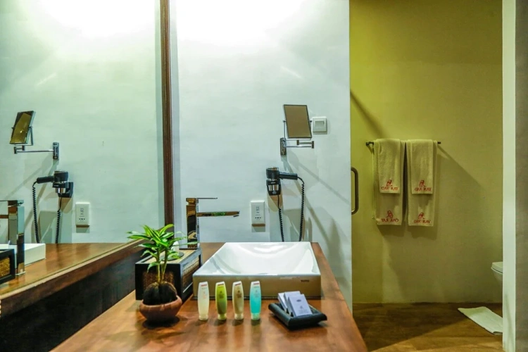 Executive Double Suite