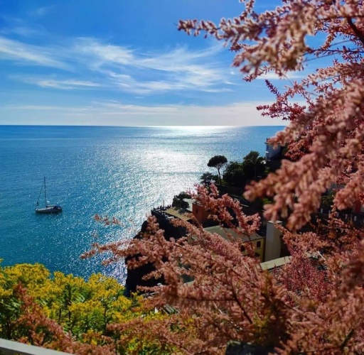 2 Bedrooms Double Apartment